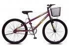 Bicicleta Allegra City Aro 24 Sem Marchas Freios V-brake e Cestão Colli