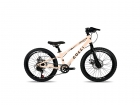 Bicicleta Colli Airon Aro 20 Freio A Disco