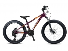 Bicicleta Colli Napoli Sport Aro 24