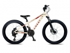 Bicicleta Colli Napoli Sport Aro 24